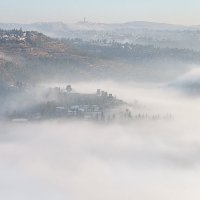 туман :: Валерий Цингауз