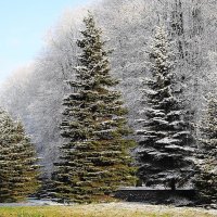 Городской сквер в снежном убранстве :: Маргарита Батырева