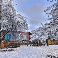 Кубань.ст.Саратовская. Первый снег 2017 :: Александр 