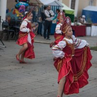 День Снегирей. :: Владимир 