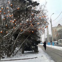 *** :: Валентина Береснева