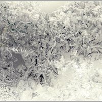 Снежные "крошки" на дачном окошке :: muh5257 