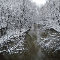 После снегопада :: Денис Масленников