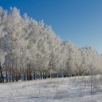 Морозный зимний пейзаж :: Александр Синдерёв