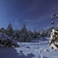 Там, на неведомых дорожках... :: Сергей 