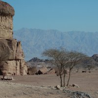 Аравийская пустыня :: Николай Танаев