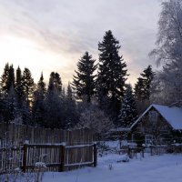 Зимний закат :: Вера Андреева