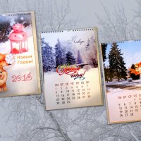 Календарь на 2018 г. подарок друзьям... :: Тамара (st.tamara)