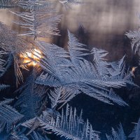 Рисует узоры мороз на оконном стекле3 :: Николай Сапегин