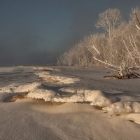 Зимний берег Енисея. :: Марина Фомина.