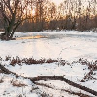 Старица :: Любовь Потеряхина