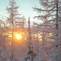 Солнечно и морозно :: ГАЛИНА Баранова