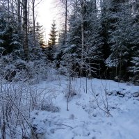 А за городом зима... :: Светлана Петошина