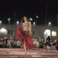 Арабские танцы :: Gennadiy Karasev