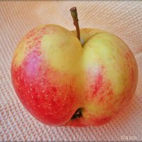 Сердечное яблоко :: Лидия (naum.lidiya)