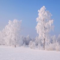 Со Старым Новым годом!!! :: ГАЛИНА Баранова