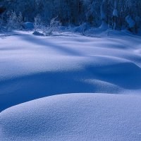 Величие Зимы :: Gennadiy Litvinov