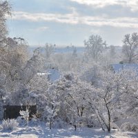 С наступающим Старым Новым Годом! :: Петр Заровнев