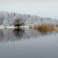 В зимней сказке лес стоит, речка отражение его в себе хранит... :: Павлова Татьяна Павлова