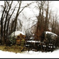 За городом. Сельские  этюды. :: Юрий ГУКОВЪ