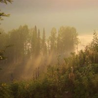 В утреннем тумане :: Сергей Чиняев 