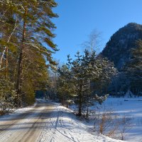 Дорога в Ареду. :: Валерий Медведев