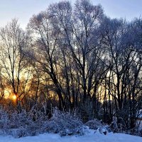 Январский рассвет. :: Михаил Столяров