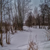 Зима в Дрезне 4 :: Андрей Дворников
