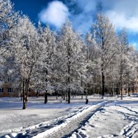 Зарисовки на ходу :: Елена Строганова