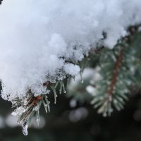 Зима :: Павел Качанов