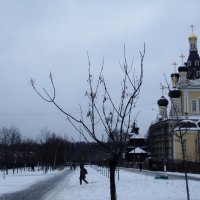 Москва-Жулебино. :: Ольга Кривых