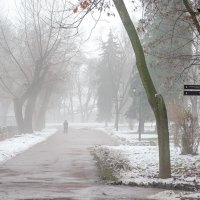Был туман :: Сергей Тарабара