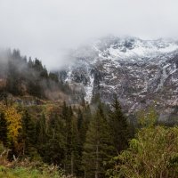 Туман и холод :: Владимир Колесников