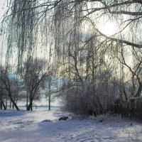 Зима :: Niki_ Nik