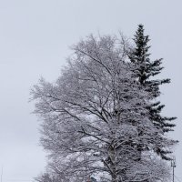 зима в городе :: Светлана Ку