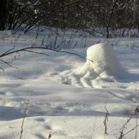 Снег :: Ольга Беляева