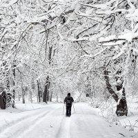 По тропинке, по свежевыпавшему снегу :: Николай Белавин