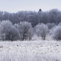 Зимний пейзаж :: Маргарита Батырева