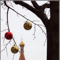 Кремлевская елка :: Михаил Розенберг