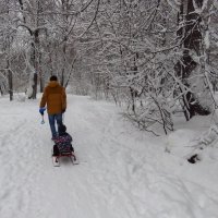 Настоящая зима пришла в последний день января :: Андрей Лукьянов