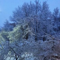 За окном зима, а  дома  тепло,уютно и утреннее кофе... :: Наталья Соколова
