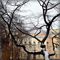 Зима в Питере. :: Марина Харченкова