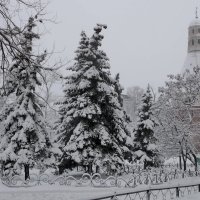 Зимнее утро в городе. :: Маргарита ( Марта ) Дрожжина