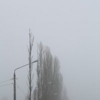 Туман :: Анатолий Шулков