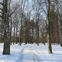 В зимнем парке. :: Валентина Жукова