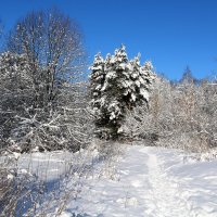 Зима :: Владимир Холодницкий