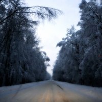 Зимняя дорога. :: Михаил Столяров