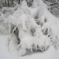 Замело снегопадом :: Елена Семигина