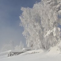 Зимушка,зима! :: Андрей 