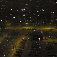 Снег идёт :: Вера Щукина